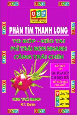 PHÂN TÍM THANH LONG
